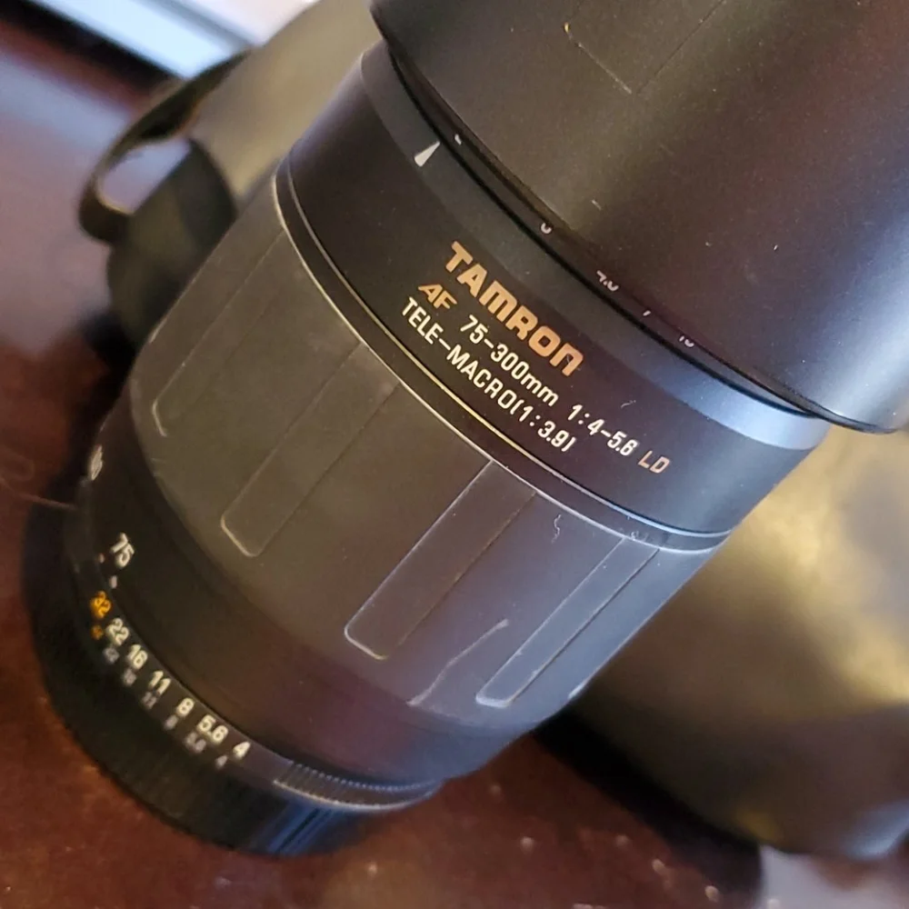 Nikon D50 6.1MP Digital SLR Camera